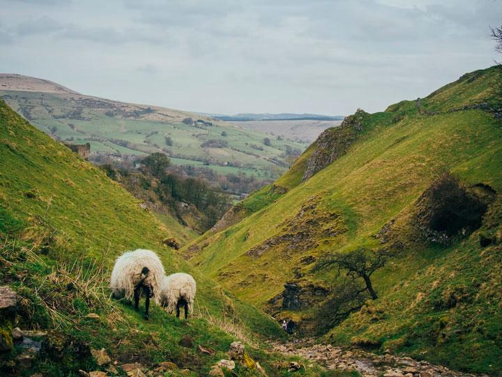 The Derbyshire Dales: A Walking Holiday Gem